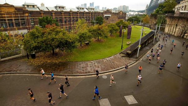 Sydney Half content runners group from above autumn trees